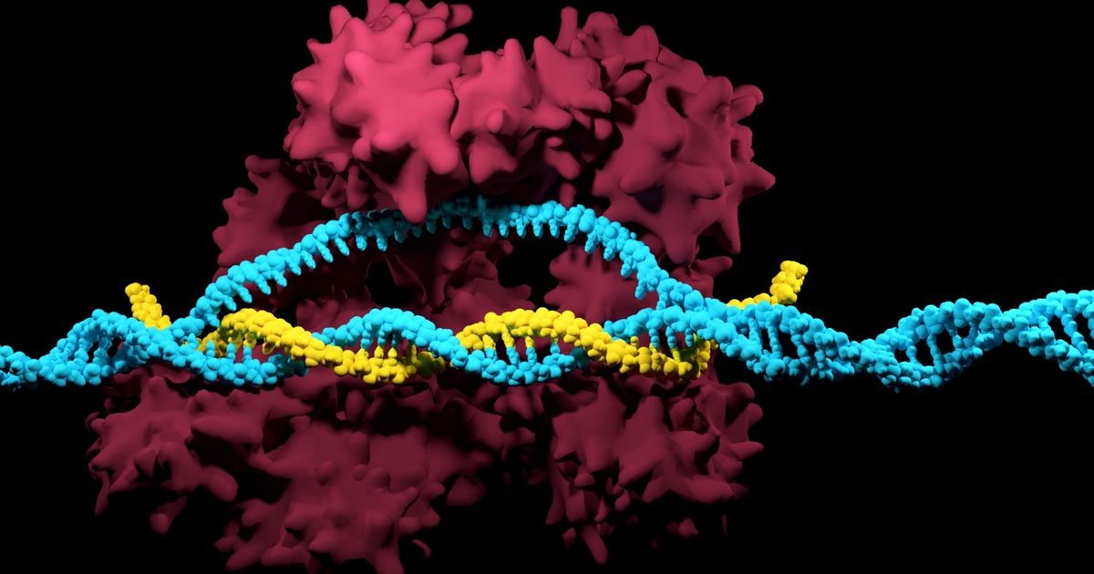 Potential New Function of CRISPR-Cas System Discovered 