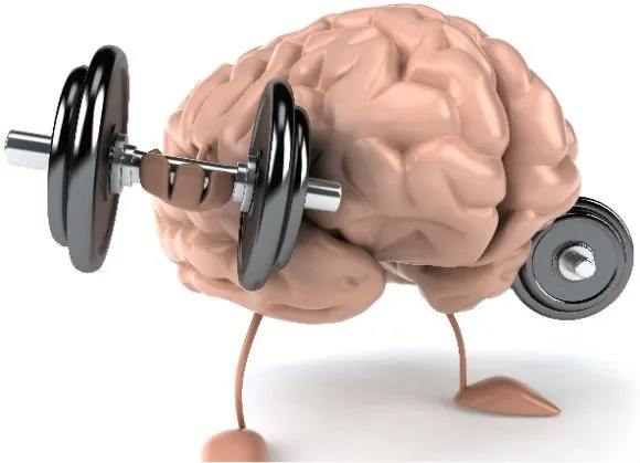 The Science Behind Muscle Memory