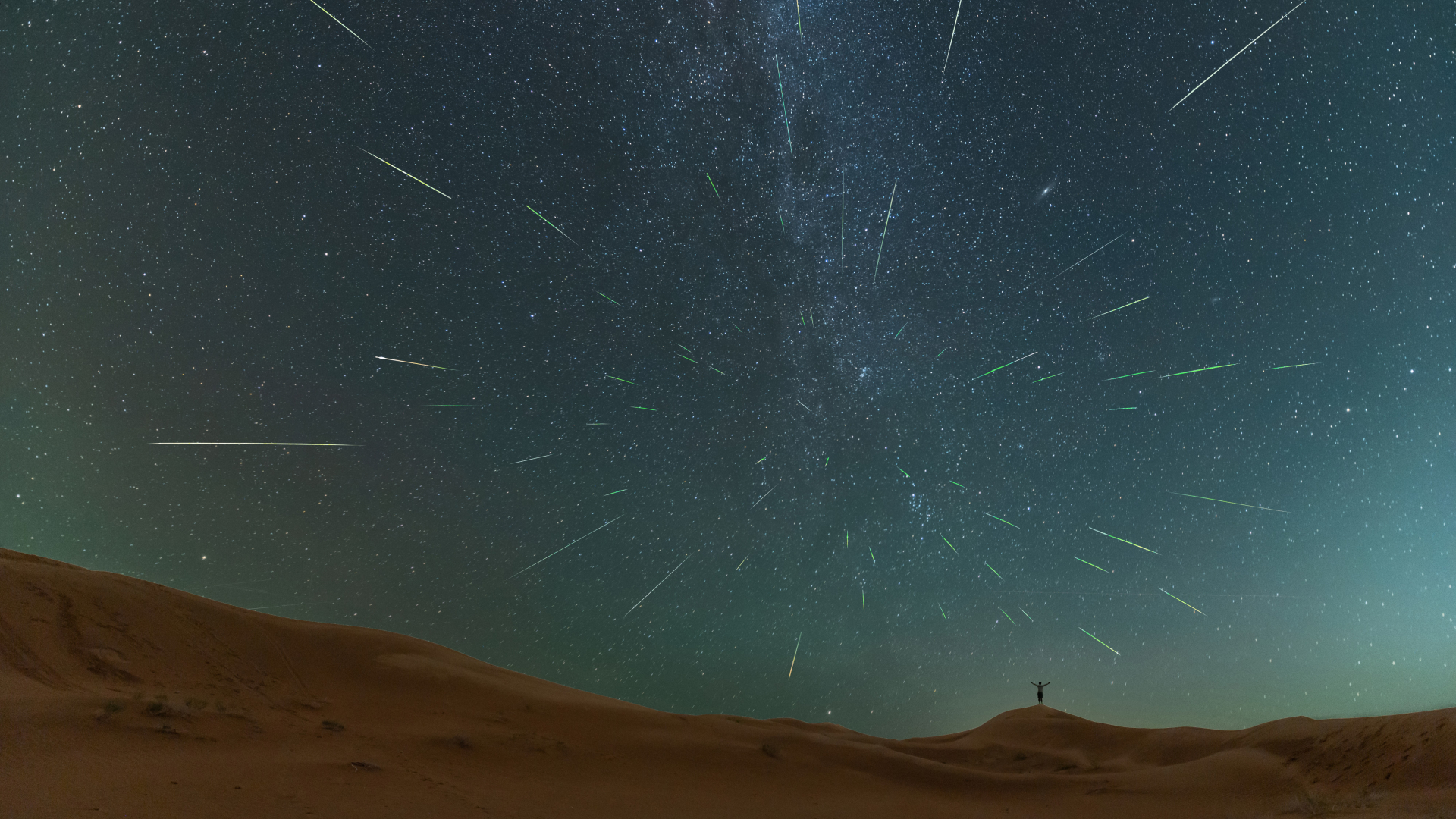 Perseid Meteor Shower